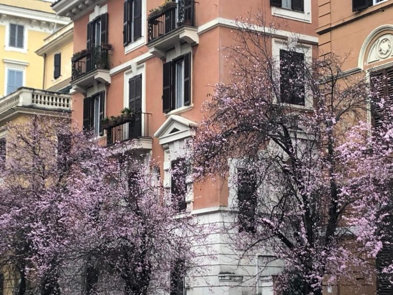 La médiation à Rome et en Italie