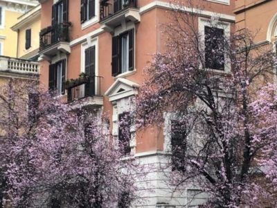 La mediazione a Roma e in Italia